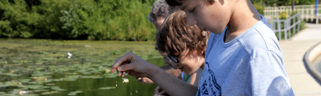 This interactive guide is designed especially for grandparents and grandchildren (ages 3–8) to use together — in person or at a distance.