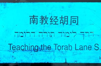 Teaching the Torah Lane S.