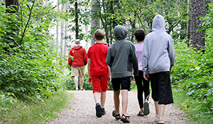 Tu BiShvat Newsletter Walk in the Woods JGN Website