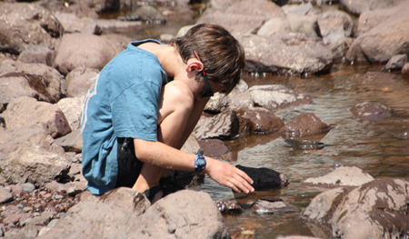 Tu BiShvat Newsletter for Professionals